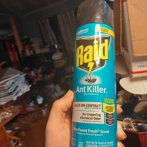 Raid Ant Killer Spray - Blue
